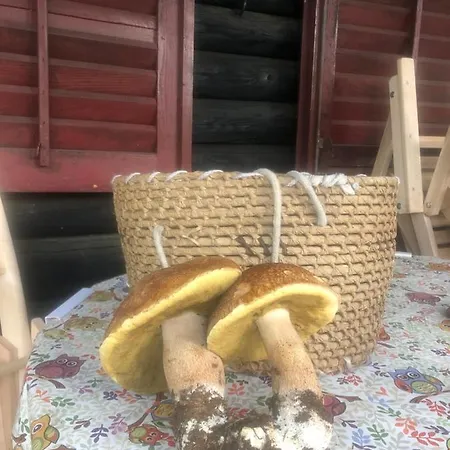 Tilia Banjska Stena Chalet Mitrovac