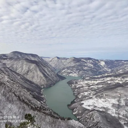 Tilia Banjska Stena Митровац