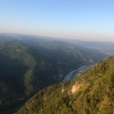 Tilia Banjska Stena *