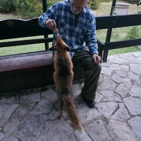 Tilia Banjska Stena * Митровац