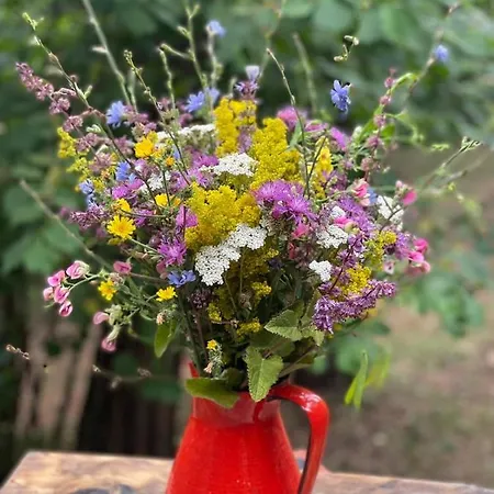 Tilia Banjska Stena Шале *