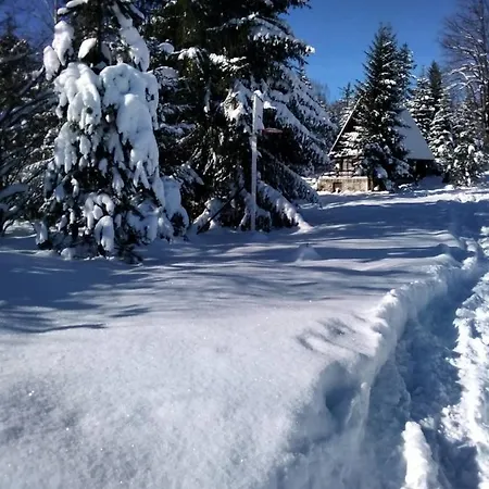 Tilia Banjska Stena Mitrovac