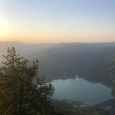 Tilia Banjska Stena *