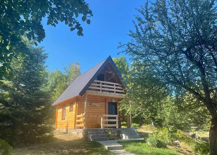 Tilia Banjska Stena Mitrovac