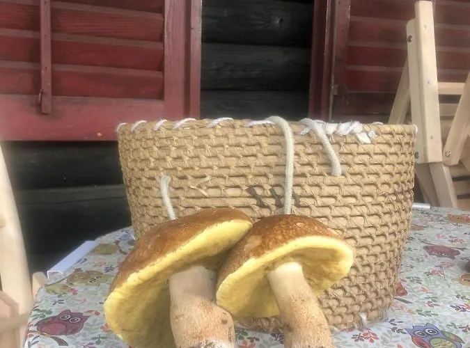 Tilia Banjska Stena Horská chata Mitrovac