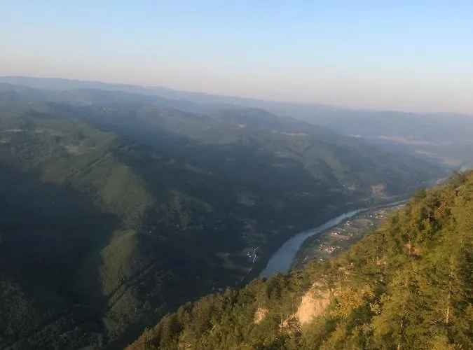 Tilia Banjska Stena *