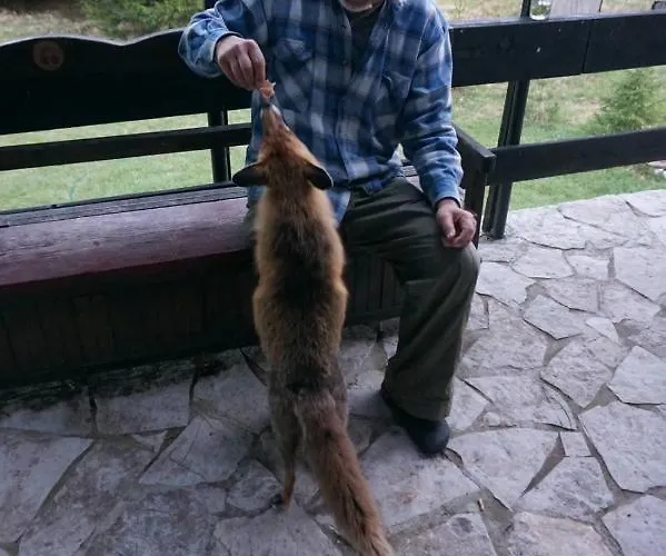 Tilia Banjska Stena * Mitrovac