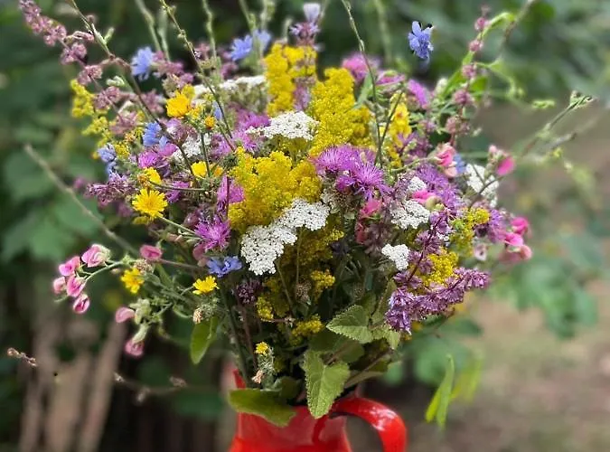 Tilia Banjska Stena Horská chata *