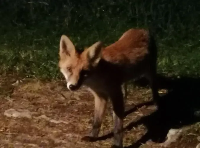 Horská chata Tilia Banjska Stena Mitrovac