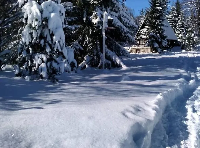 Tilia Banjska Stena Mitrovac